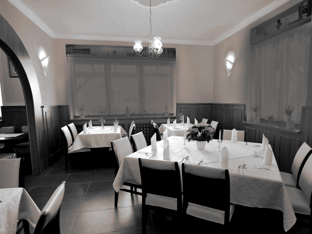 HOTEL U dobrého lva