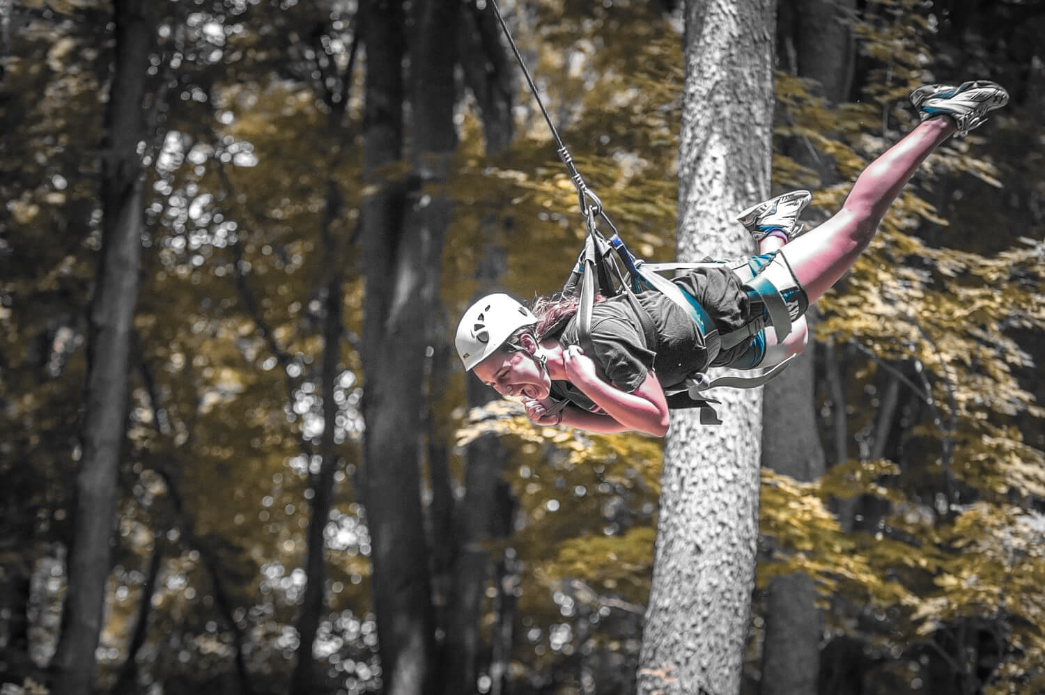 HOTEL U dobrého lva