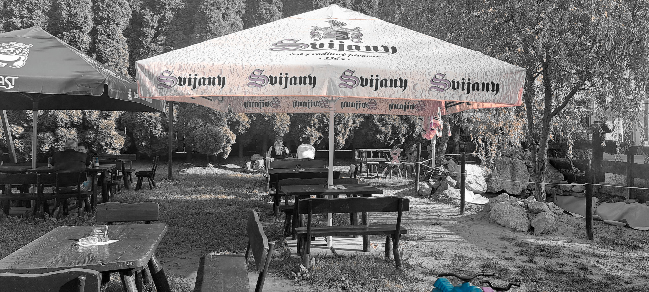 HOTEL U dobrého lva